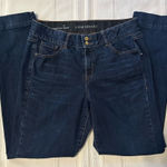 Lane Bryant  Dark Blue Straight Leg Jeans Photo 0