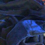 Zuliana Metallic Blue Shoulder Tie Mesh Cover Up Dress. Size undefined Photo 6