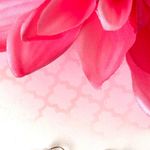 Pink Mermaid Tail Earrings Photo 2