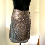 EXPRESS Beautiful sequined skirt-SO DRESSY πππ Photo 2