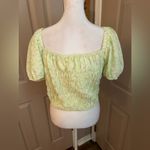 Elodie Spring Green and Pink Petals Cropped Top Size XL Sexy Summer Photo 2