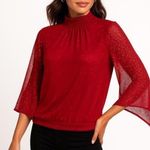 Ember Red Shimmer Mock Photo 0