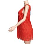 Hill House  Charlie Shift Mini Dress, Poppy Red Scallop Lace, Small Photo 6