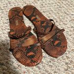 Tkees Gemma Coco Snake Print Sandals Brown Vegan Leather Double Straps Size 8 Photo 0