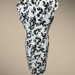 Preston & York Dress Ivory White Black Floral Leaves sz 14 Photo 6