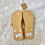 Havaianas NWT Slim Flatform Loop Tan Gold Flip Flop Sandals US 7 - 8 Photo 6