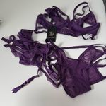 House Of Desire BIANCA STRAPPY LACE BRA, GARTER & HIPSTER SET Large NWT Purple Photo 2