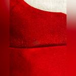 Alexandre Birman  Red suede pumps Photo 12