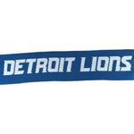 NFL  Football Detroit Lions Priority Health Logo Fringe Promotional Wrap Scarf OS Photo 1