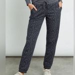 Rails  Kingston Charcoal Mini Cheetah
Print Joggers Photo 6