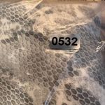 Chico's  Snakeskin Skirt Women’s size 1 (8) PAINTED PYTHON Staci Sateen Stretch Photo 10