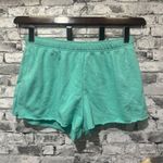No Boundaries EUC  Mint Green Shorts w/ Draw Cords Size L (12-14) Photo 0