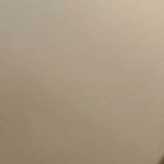 SheIn Tube Top Photo 0