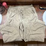 American Eagle Outfitters Cargo Pants Photo 0