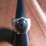 Matrix Silver Shungite 14K Yellow Gold and Platinum Over Copper Ring (Size 7) Photo 11