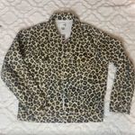 Amuse Society Isabela Leopard Jacket Photo 3