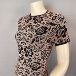 Torn By Ronny Kobo Dress Bodycon Knit Floral Stretch Mini Fitted Short Sleeves Photo 12