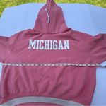 Champion Pink Collegiate Hoodie Large Photo 3