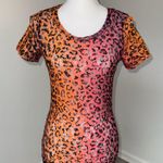 BKE Leopard Mesh Mini Dress Pink Orange Sheer Lace Hem Clubwear Size Small Y2K Photo 0