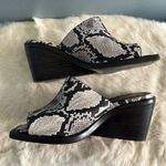 Rag and Bone  Santiago Snakeskin Embossed Wedge Sandal Photo 4