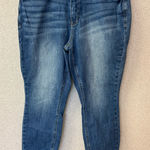 Judy Blue  Women Size 14W Medium Wash Blue‎ Denim Stretchy Jeans Skinny Photo 0