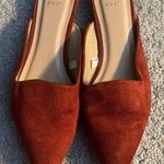 A New Day  mules burned orange 8 Photo 0