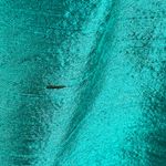 LulaKate Raw Silk Ruffle V Photo 4