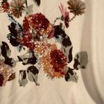 NEW Designers Original Sweater‎ Women 3X Pale Pink Beaded Sequins Stretch Mature Size undefined Photo 4