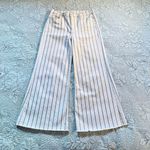 frame denim Frame Le Palazzo Crop Wide Leg Raw Hem Striped Pants Size 31🧡 Photo 12