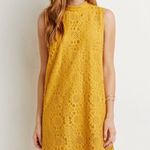 Forever 21 Golden Yellow Lace High Neck Shift Dress Photo 0