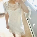 NWT cupcakes and cashmere ivory lace shift dress White Photo 7
