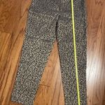 Cato black & gold straight cut pants. Size 8. Photo 7