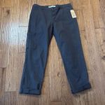 Woolrich  NWT Vista straight grey utility seam front pant 10 Photo 1