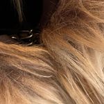 Rebecca Taylor  Alpaca‎ Wool Blend Fur Vest Photo 6