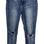 BDG  Twig High Rise Skinny Jeans Size 27 Skinny Distressed Denim Photo 0