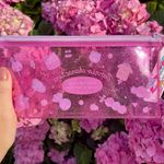 Sanrio Bag With Zipper Photo 1