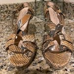 Gastone Lucioli Heels Photo 2