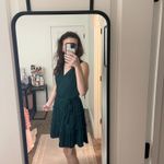 Naked Zebra  Dress Photo 1