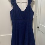 BB Dakota Skater Dress Photo 0