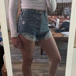 Signature 8 Shorts  Photo 0