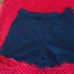 BG navy shorts medium dress shorts. Photo 3