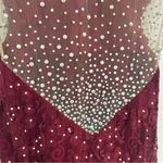 Alyce Paris  Deep Maroon Rhinestone Lace Mesh Cutouts Formal Long Dress Size 4 Photo 6