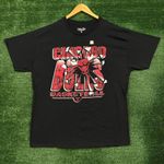 Chicago Bulls basketball T-shirt, size large Photo 0