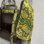 Vimoda Clear Transparent Crossbody Purse with Inner Animal Print Pouch Photo 2