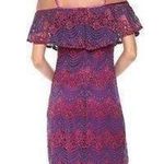 Bebe Lace Dress Photo 1