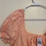 American Eagle  Pink Eyelet Puff Sleeve Peplum Top XL Cottagecore Photo 6