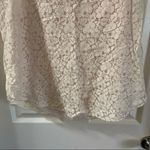 Talula Tan/Pink Lace Scoop Neck Sleeveless Blouse Photo 5