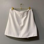 ZARA Mini Skirt Photo 2
