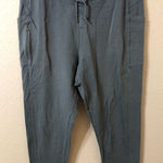 Patagonia  Womens Organic Cotton Roaming Joggers in Blue Gray - Size Large Photo 0