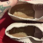Toms Lenox Sneakers Photo 4